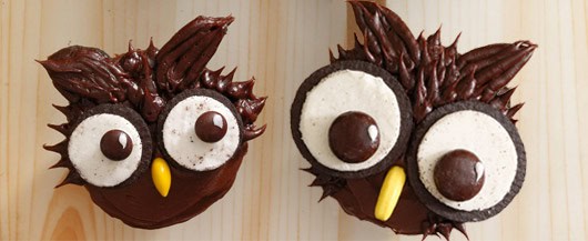 hero-owl-cupcakes-1