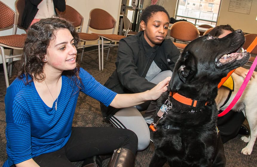 pet therapy-3